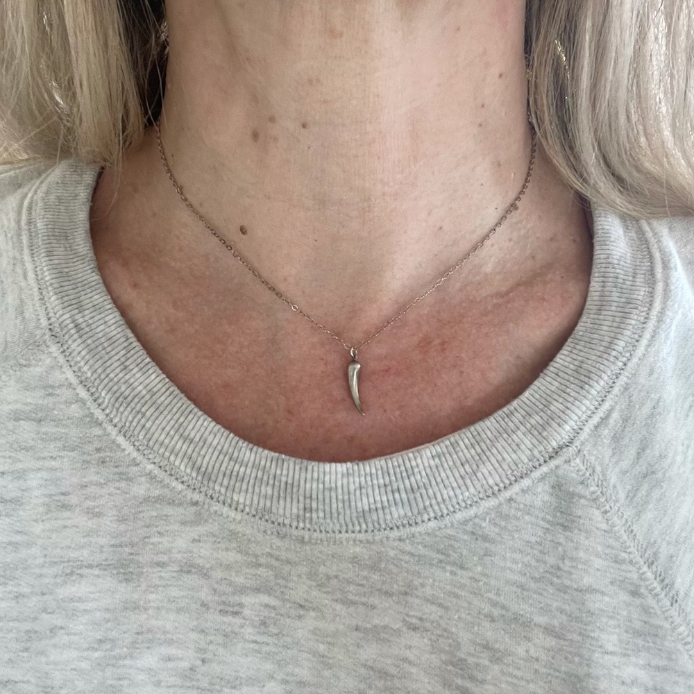 Sterling silver necklace and charm